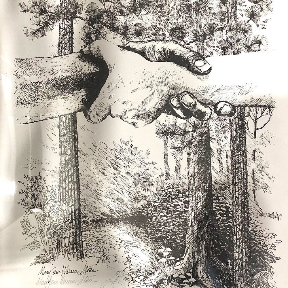 Ink Drawing - Picture 5 of 5